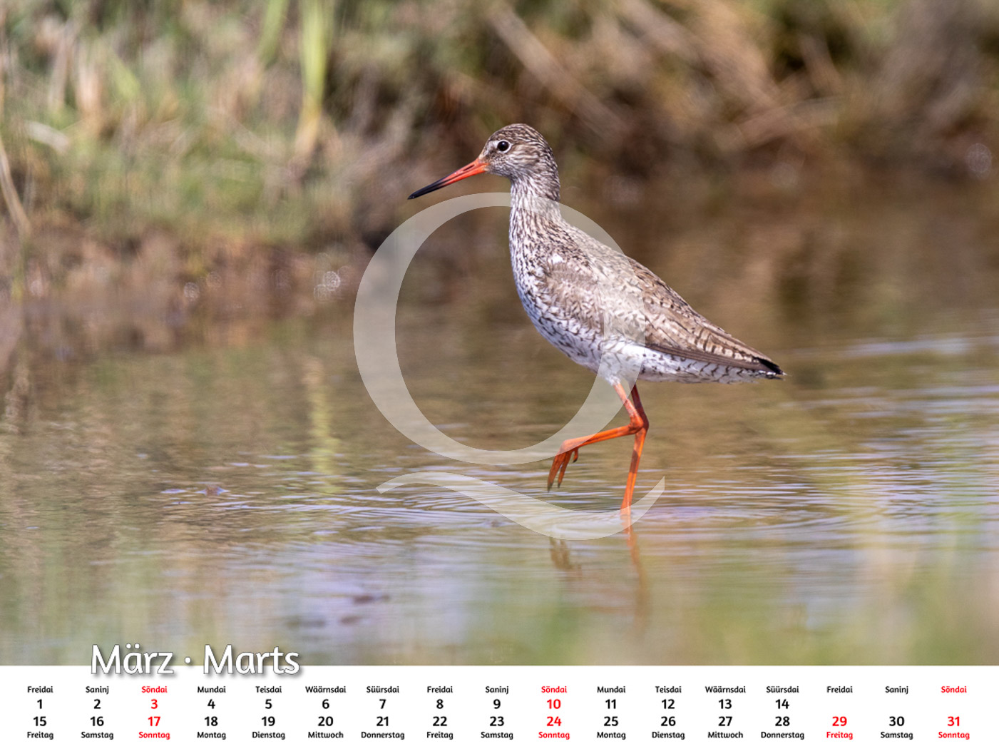Amrum Kalender 2024