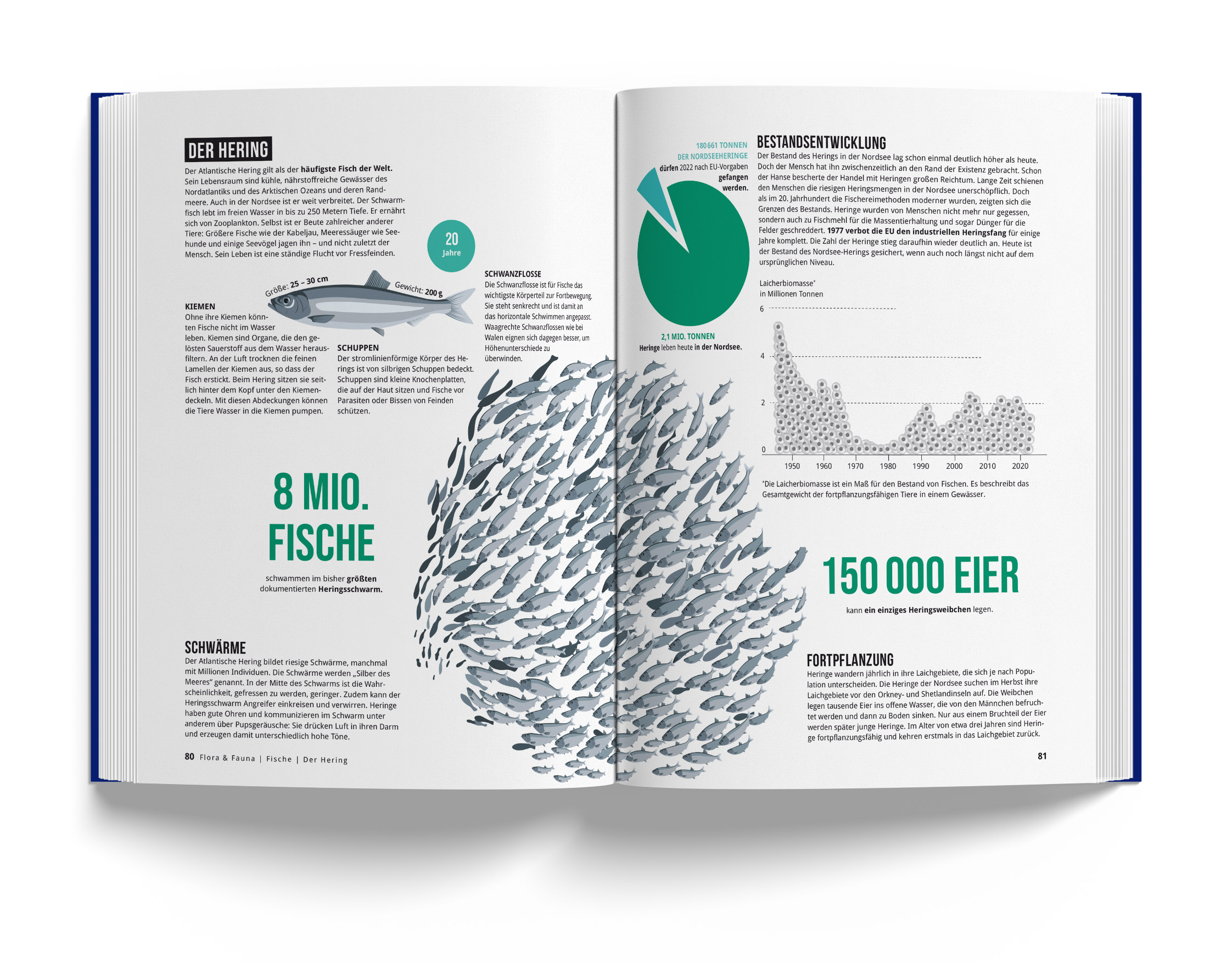 Das Nordseebuch - Zahlen, Fakten und Geschichten in über 1000 Infografiken, Karten und Illustrationen - von Jan Wittenbrink