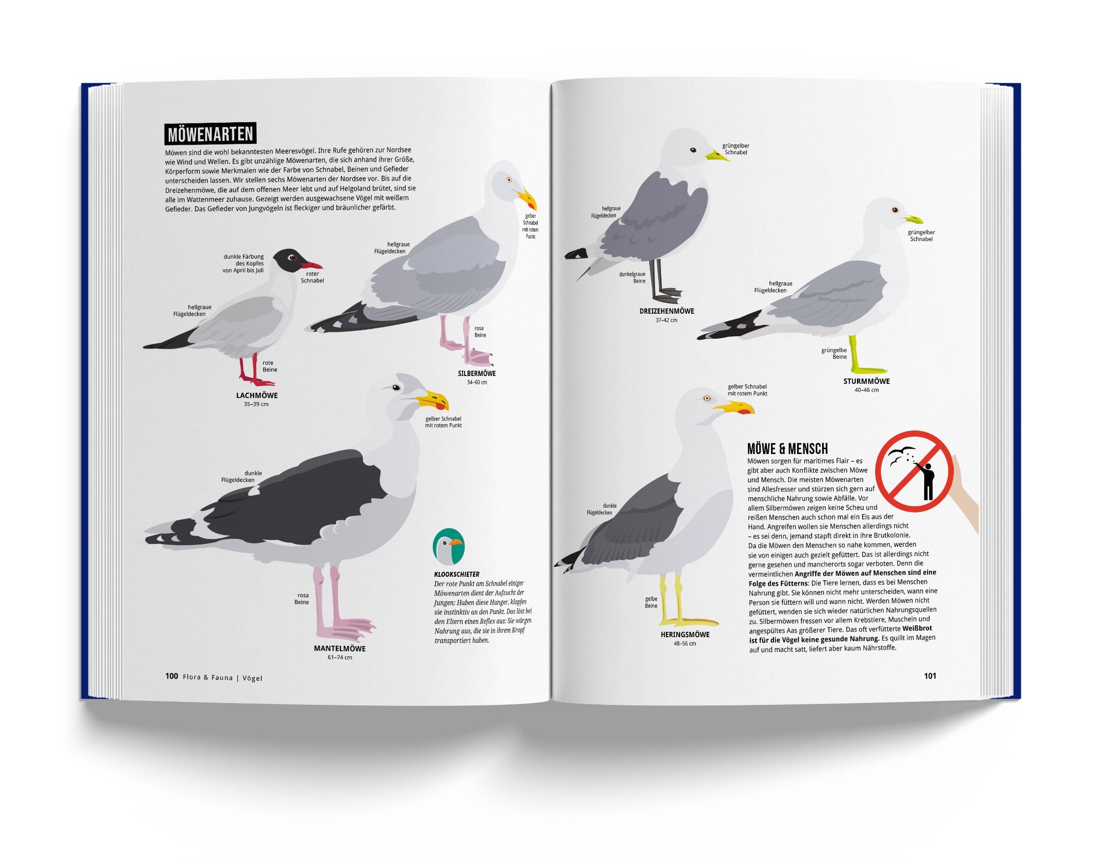 Das Nordseebuch - Zahlen, Fakten und Geschichten in über 1000 Infografiken, Karten und Illustrationen - von Jan Wittenbrink