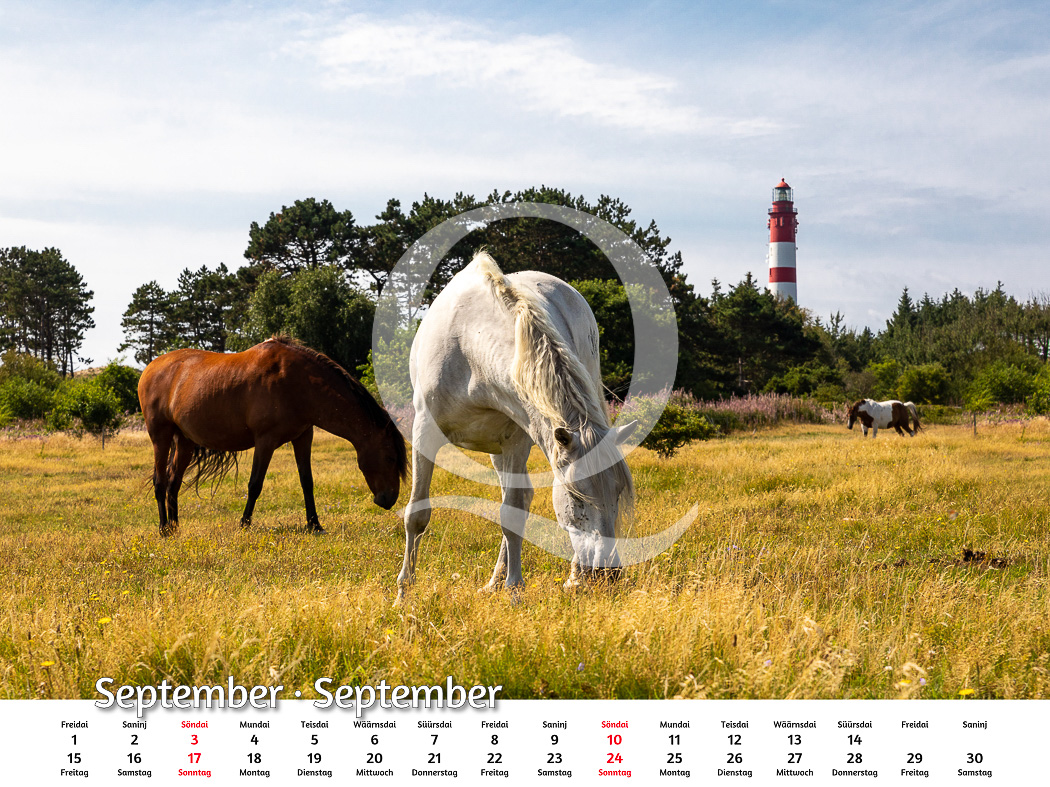 Amrum-Kalender 2023