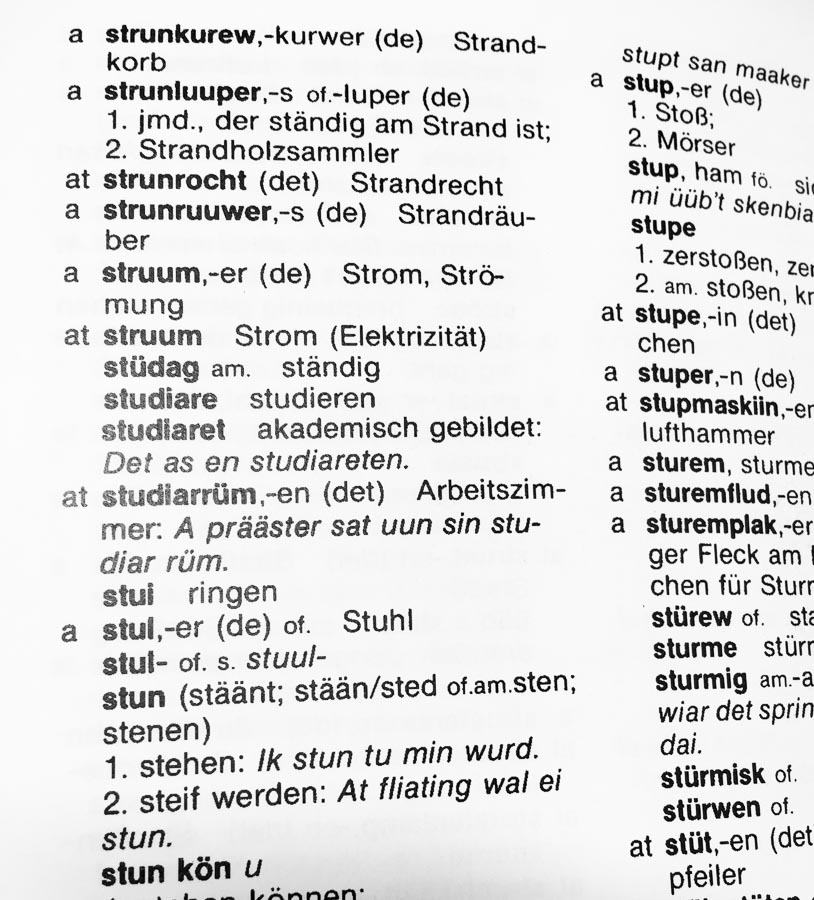 Wurdenbuk för Feer an Oomram - Friesisches Wörterbuch für Föhr und Amrum
